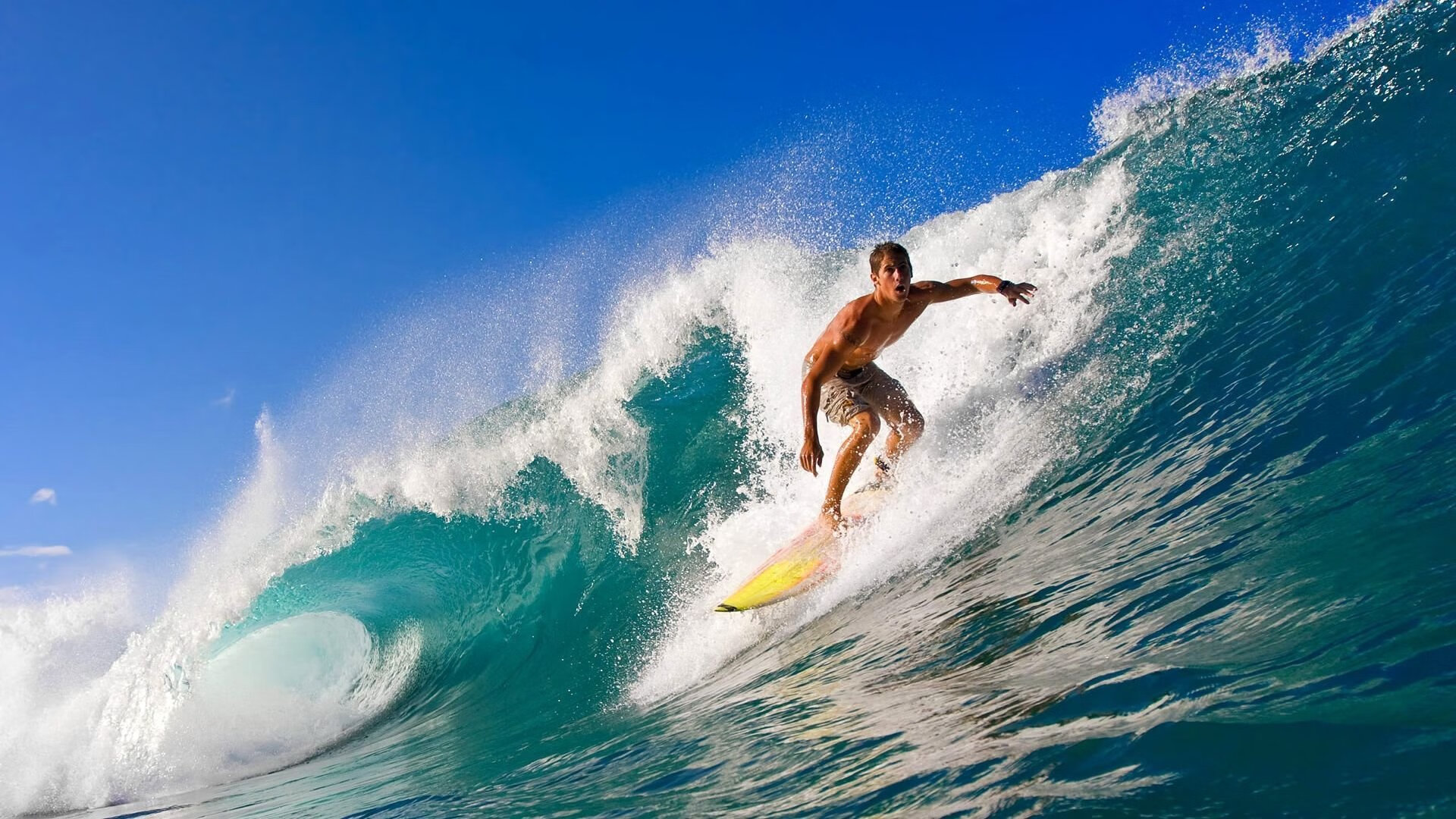 骑士推出“球迷AI教练挑战”活动，互动感爆棚，骑士老球迷