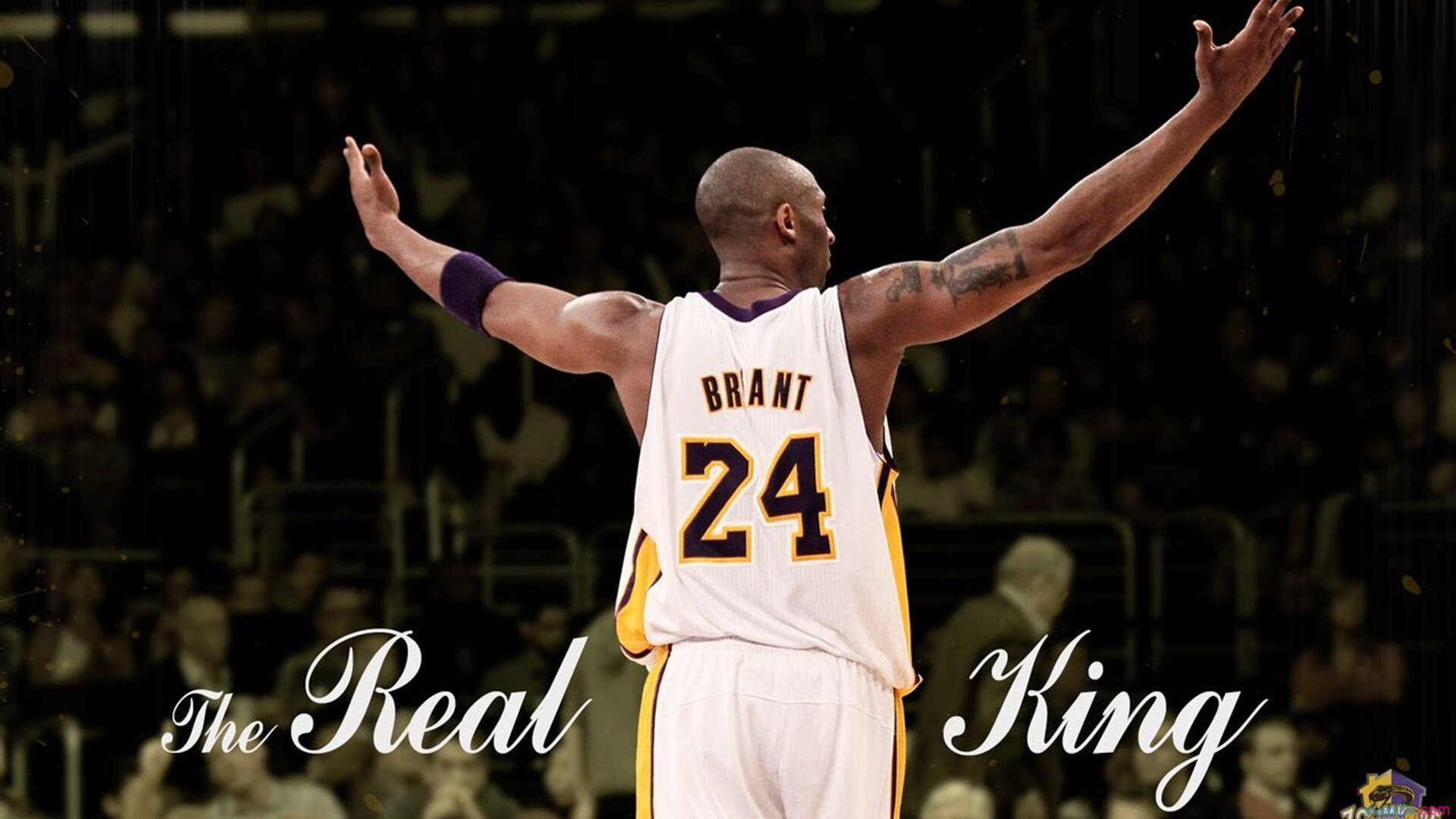 青少年的篮球热潮席卷全国,校园体育不断升温,青少年篮球训练体系